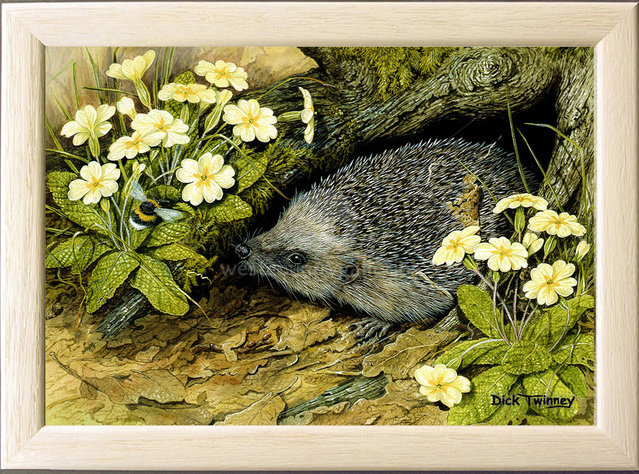 Image of Spring Lookout ~ Hedgehog & Primroses